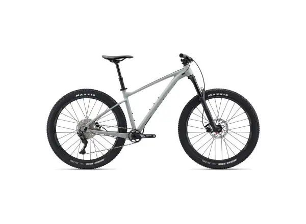 Giant Fathom 2 Mountainbike Beton