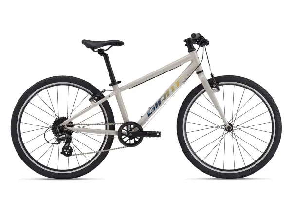 Giant ARX 24 Kinderfahrrad Mushroom