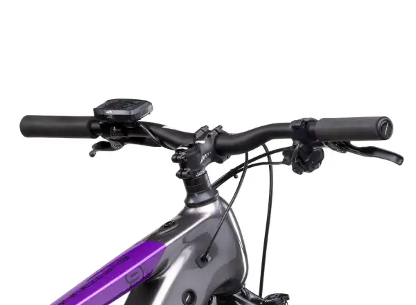 Crussis e-Fionna 9.10-M (720 Wh) Mountain-E-Bike