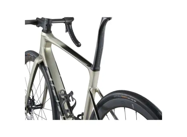 Giant Defy Advanced SL 1 Rennrad Golden Haze / Panther