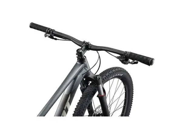 Giant Talon 29 1 Mountainbike Charcoal
