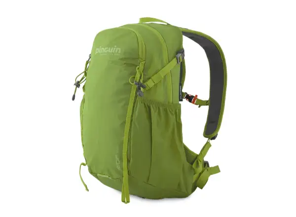Pinguin Ride 19 Rucksack grün