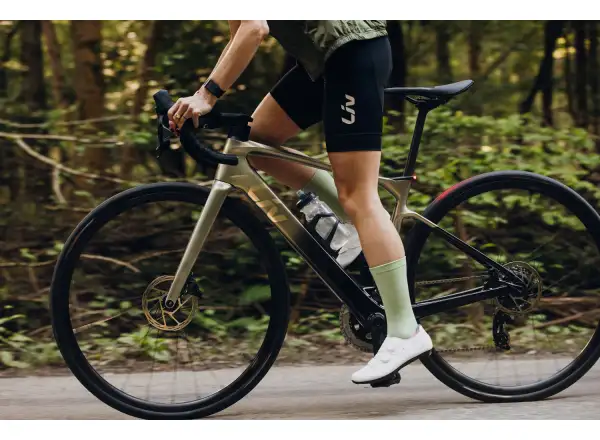 Liv Avail Advanced E+ Elite 2 Straßen E-Bike Golden Haze