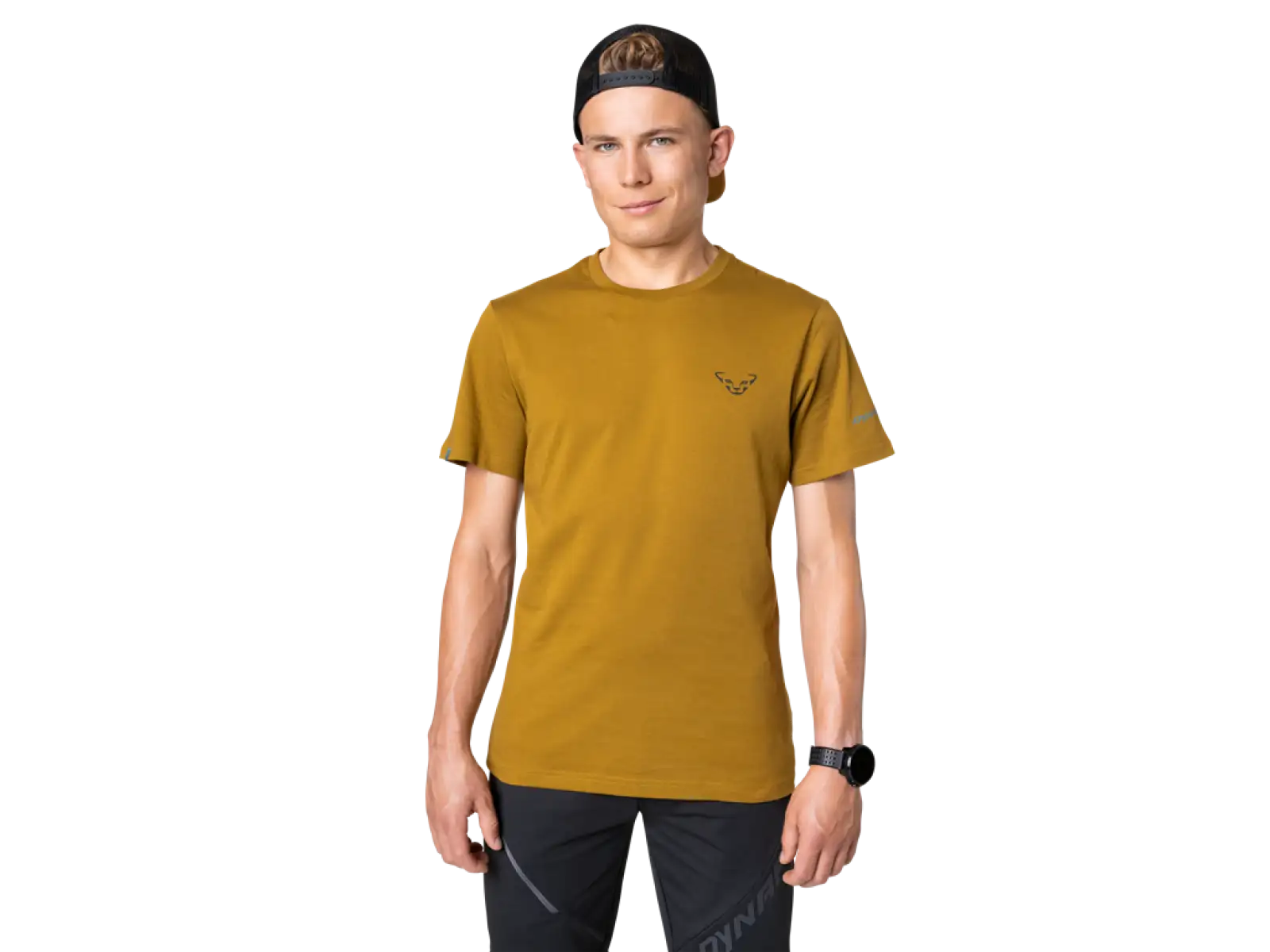 Dynafit 24/7 Graphic Herren T-Shirt Kurzarm Relic/Striped Elevation