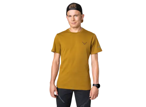 Dynafit 24/7 Graphic Herren T-Shirt Kurzarm Relic/Striped Elevation