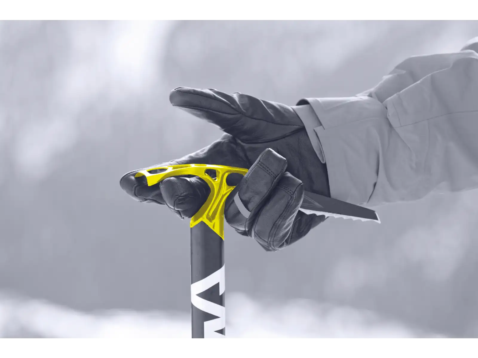 Salewa Alpine-X Eispickel