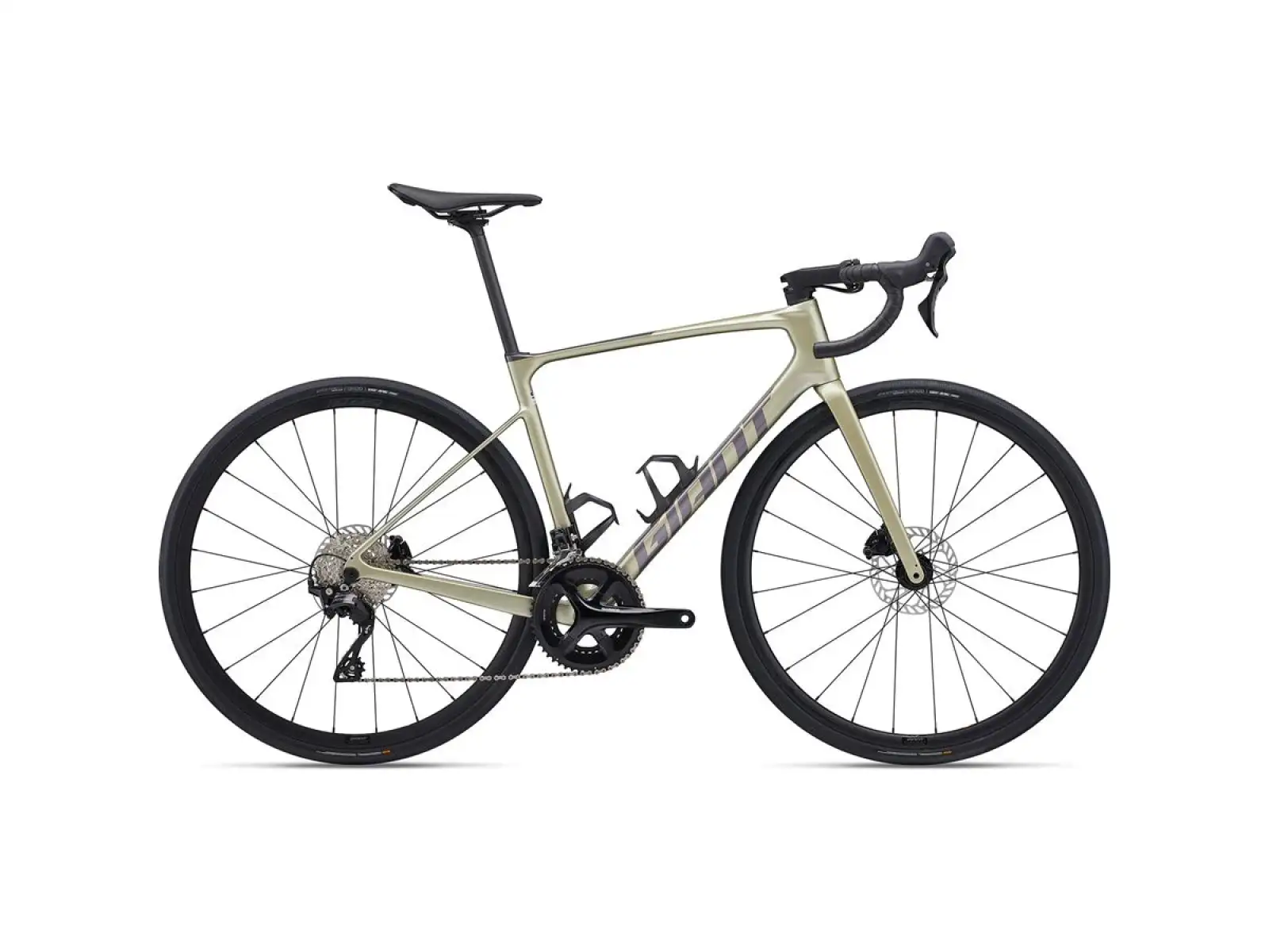 Giant Defy Advanced 2 Rennrad Lorbeerblatt
