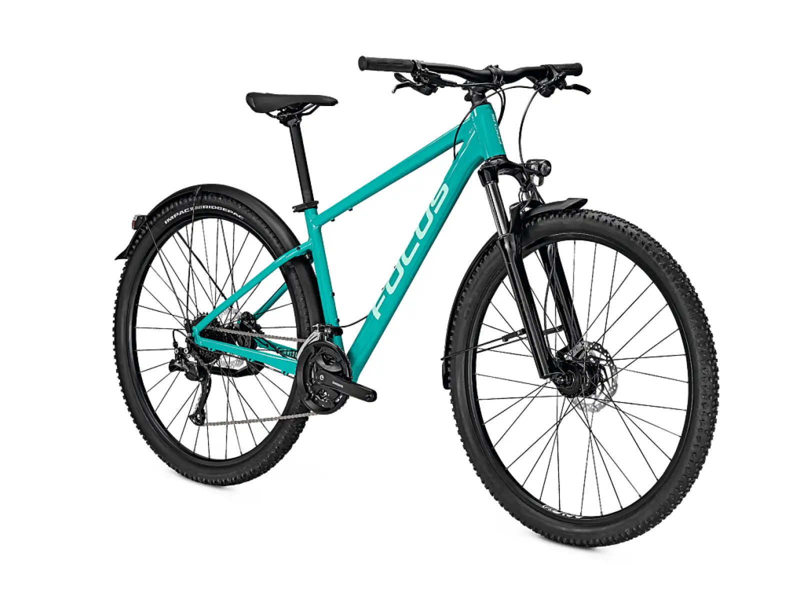 Focus Whistler 3.6 EQP DI 29" Mountainbike Blau Grün