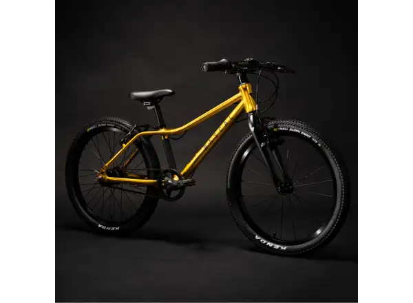 Rascal 20 Kinderfahrrad Gold