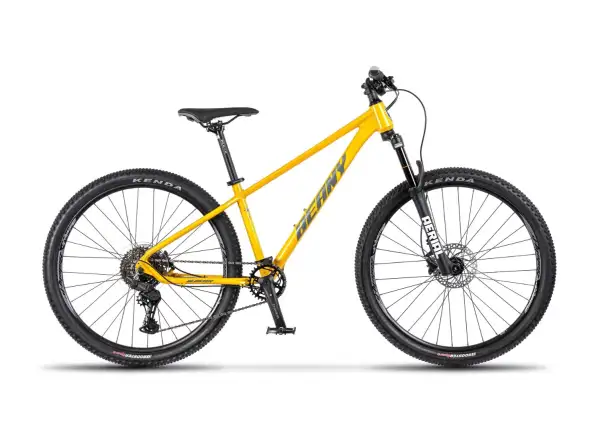 Beany Blaster 24 Kinderfahrrad Gold
