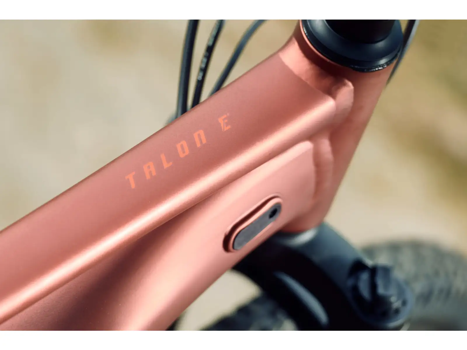 Giant Talon E+ Junior 24 Kinder E-Bike Terracotta