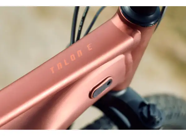 Giant Talon E+ Junior 24 Kinder E-Bike Terracotta