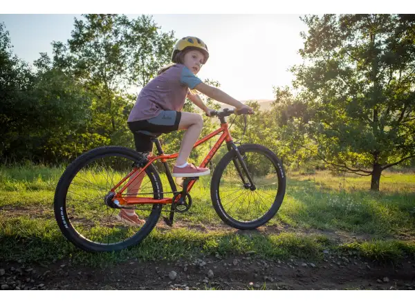 Rascal 26 7-Gang Shimano Nexus Kinderfahrrad in Titanium
