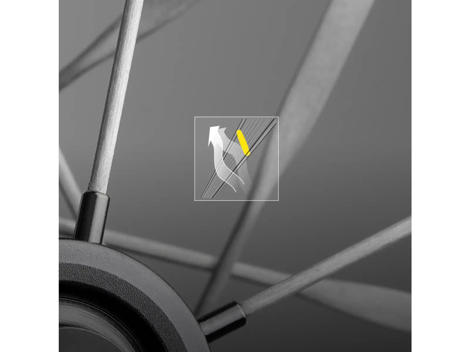 Mavic Comete 50 Disc CL Rennlaufräder Freilauf Shimano HG11