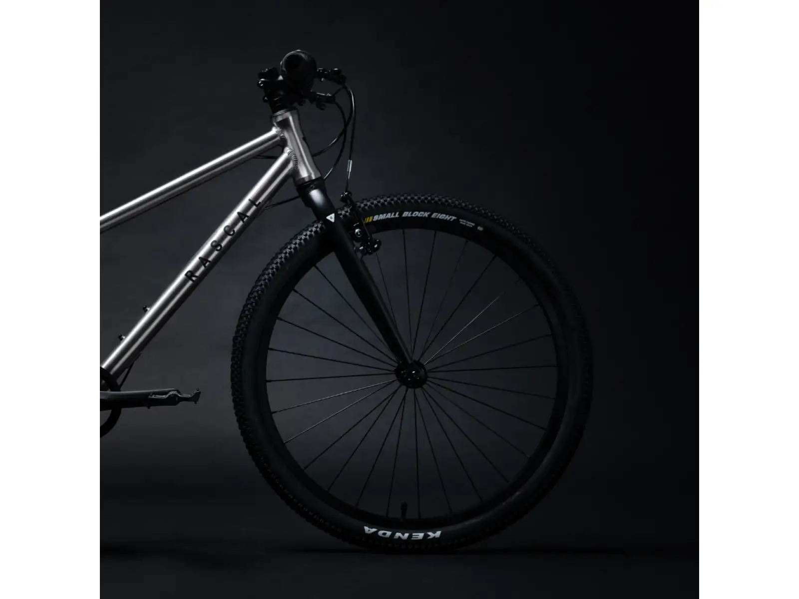 Rascal 24 7 mit Shimano Nexus Kinderfahrrad Titanium