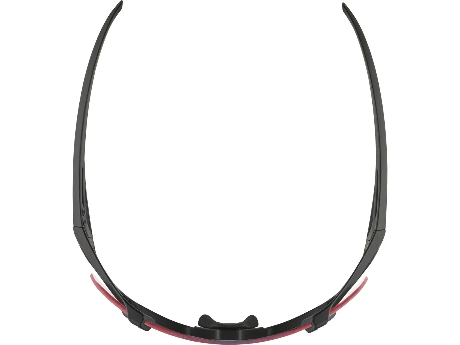 Alpina Hawkeye QV Brille Black Matt