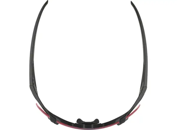 Alpina Hawkeye QV Brille Black Matt