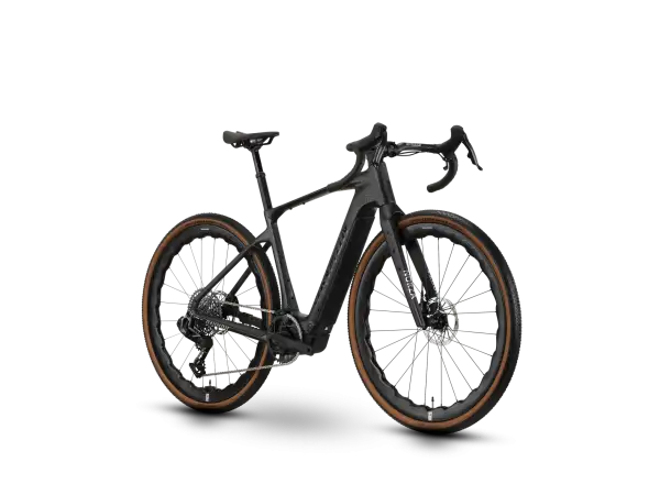 Raymon Norza Ultra carbon sparkle Gravel E-Bike ÜBERPRÜFT