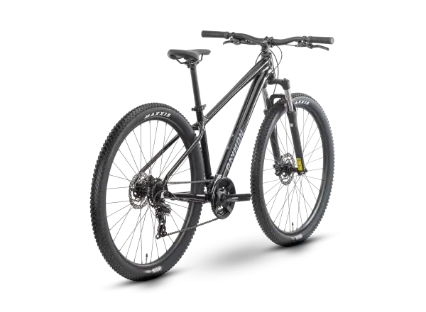Raymon Nayta 29" Mountainbike Black/Iredesciant Black