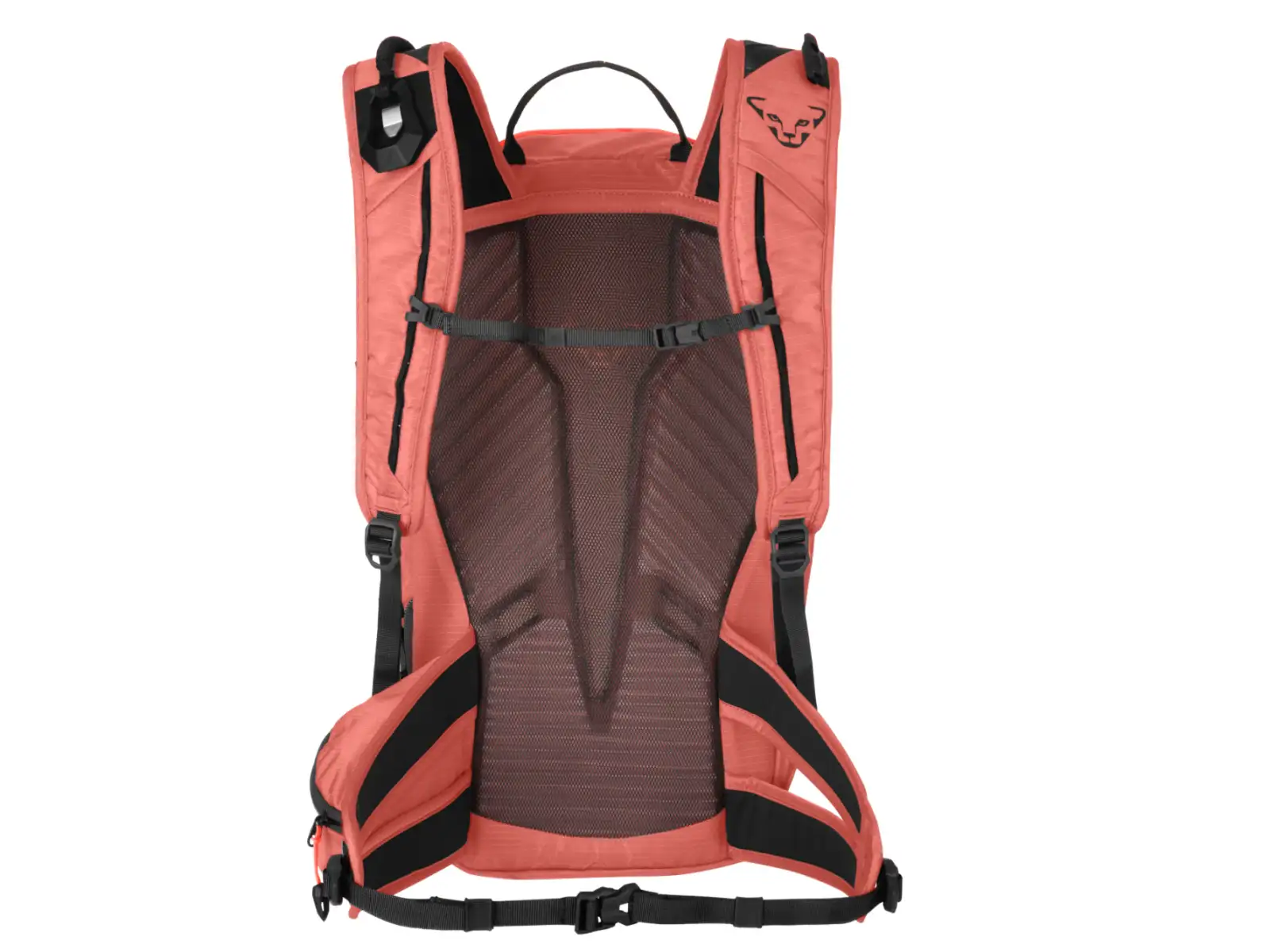 Dynafit Speed Damen Rucksack 22 l Cabana