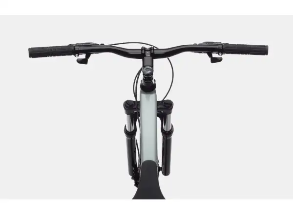 Cannondale Trail Womens 8 29" SGG Damen Mountainbike
