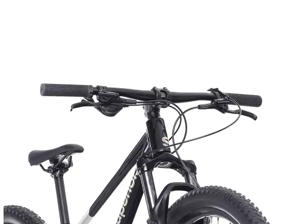 Superior TEAM 27.3 Kinderfahrrad Gloss Brushed Alu / Rainbow Black