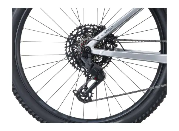 Crussis e-Largo AX 10.12-M2S(800) Mountain-E-Bike