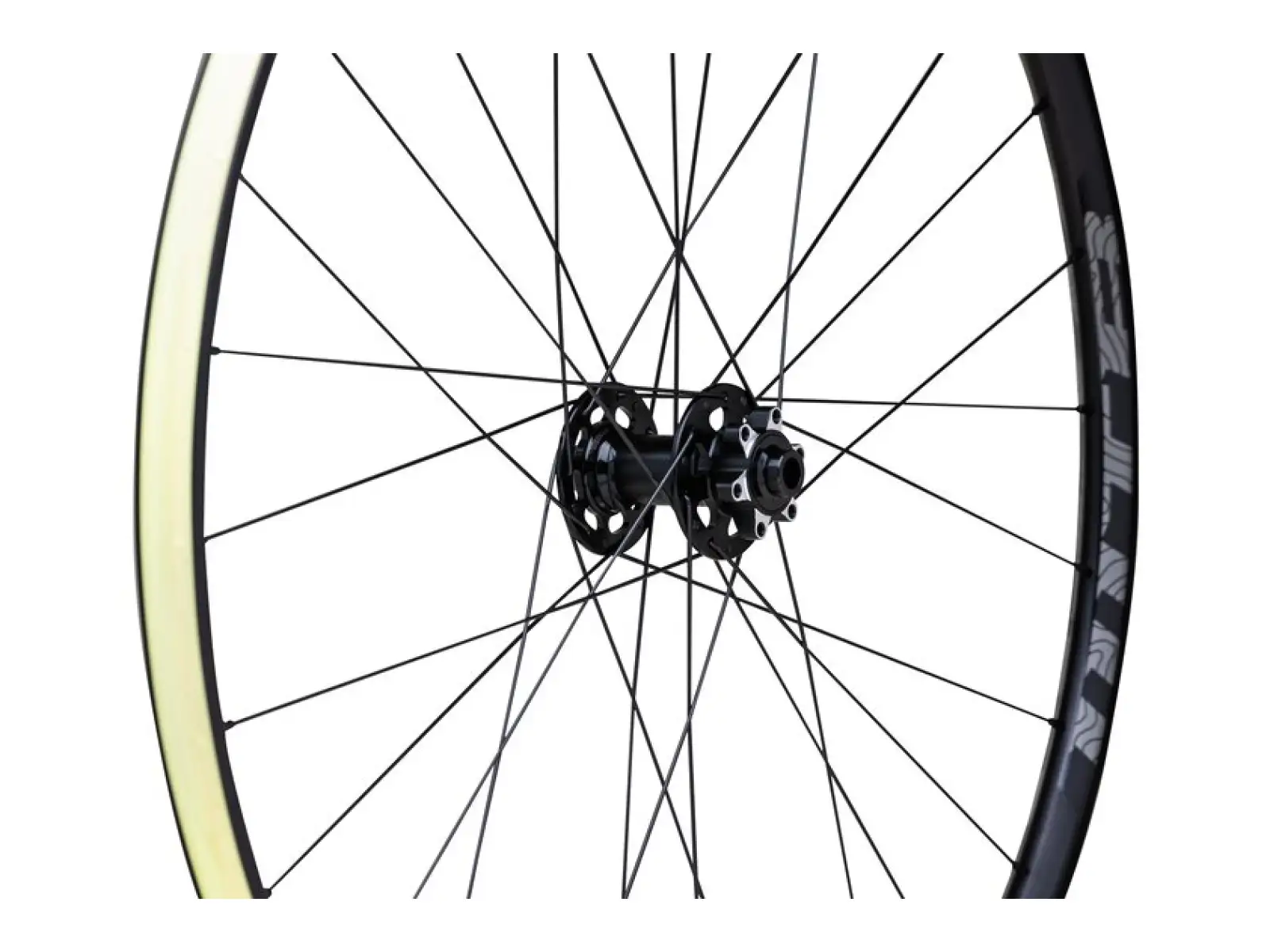 WTB Proterra Light i23 TCS 700C Vorderrad komplettiert.