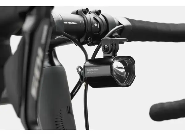 Cannondale Synapse Carbon 2 LE SBK Rennrad