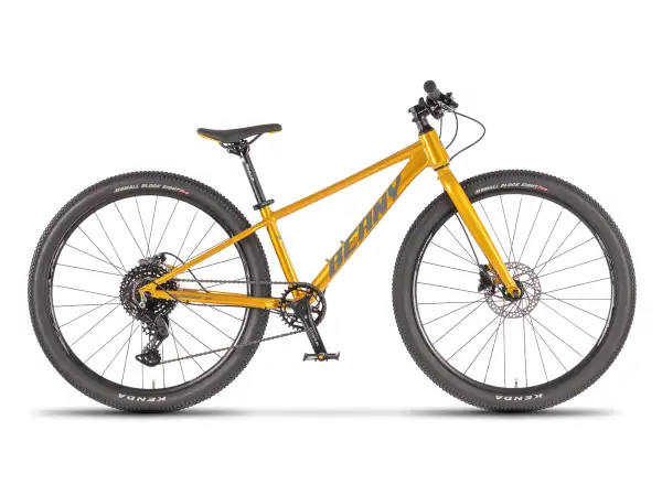 Beany Blaster XC 26 Kinderfahrrad Gold