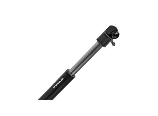 Topeak Pumpe Two Timer XT