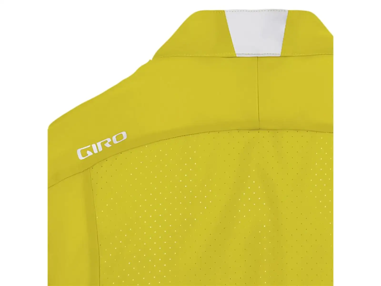 Giro Chrono Expert Wind Herrentrikot langarm Cascade Green