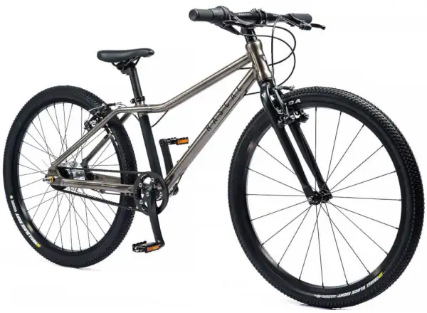 Rascal 24 5 sp. Sturmey Archer Kinderfahrrad Titan