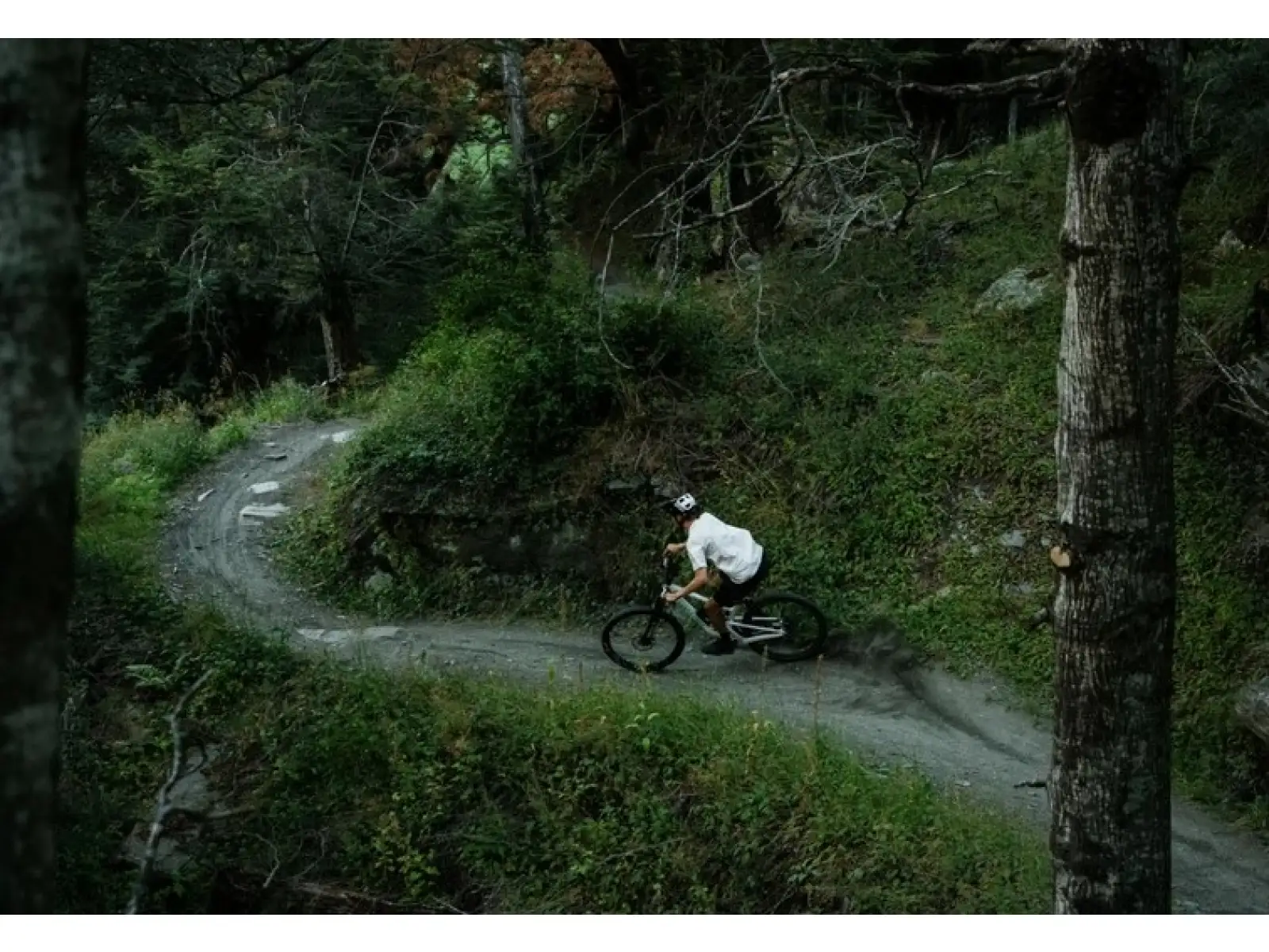 Santa Cruz Tallboy 5 C R Mountainbike Gloss White