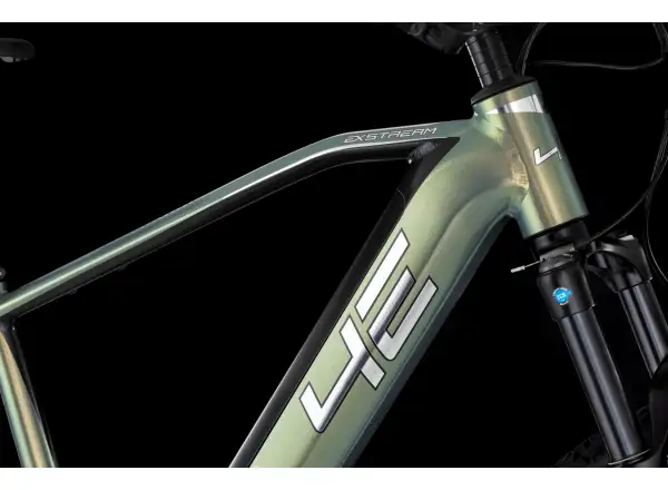 4EVER E-Mountainbike  – Exstream Team 820 Grün
