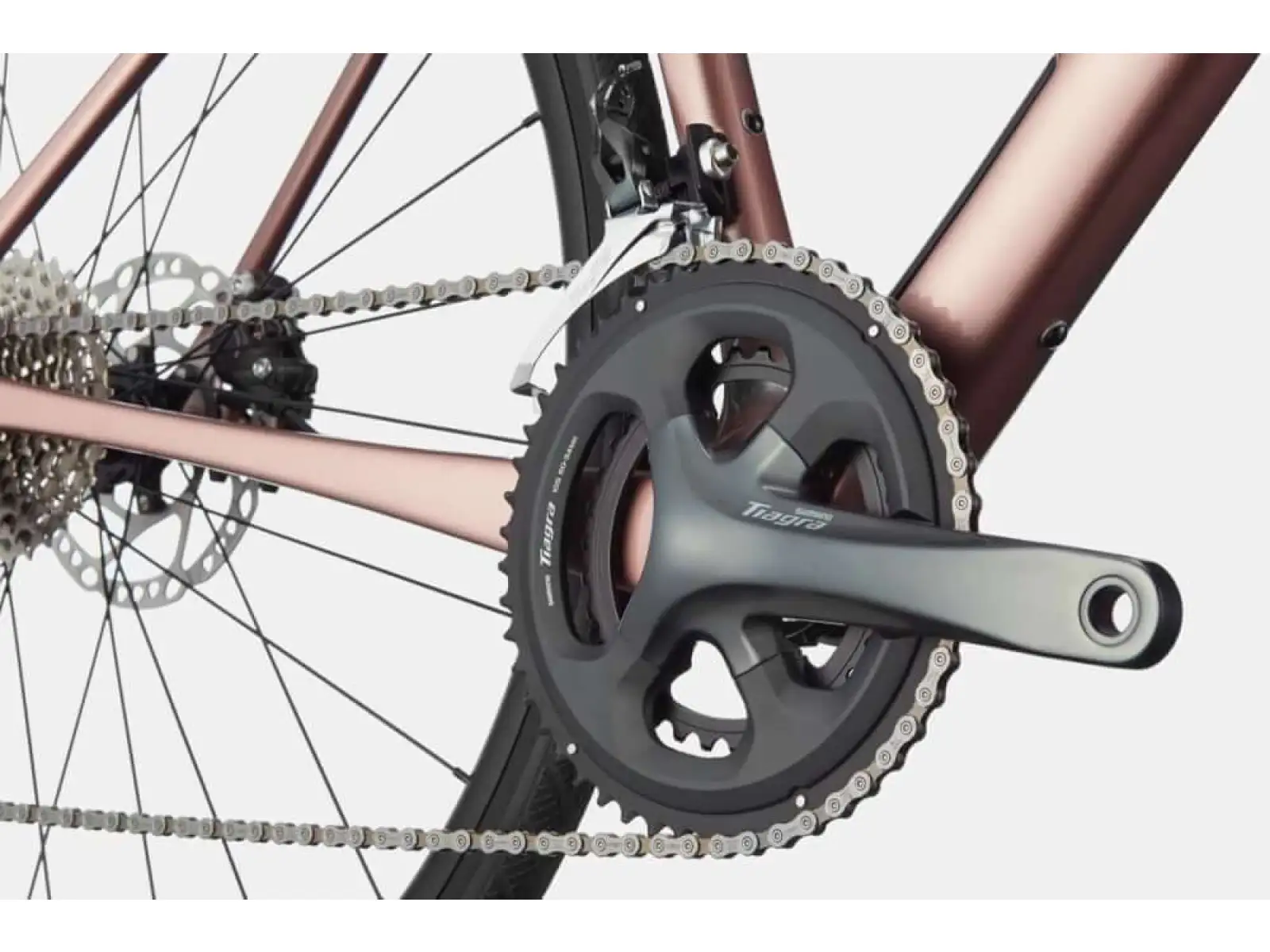Cannondale Synapse Carbon 4 RGD Rennrad