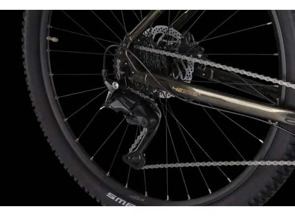 4Ever Frontbee XCM 29" Mountainbike Gold galaxy