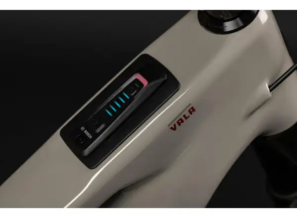 Santa Cruz Vala 1 C MX R-Kit CH Vollgefedertes E-Bike Gloss Grey