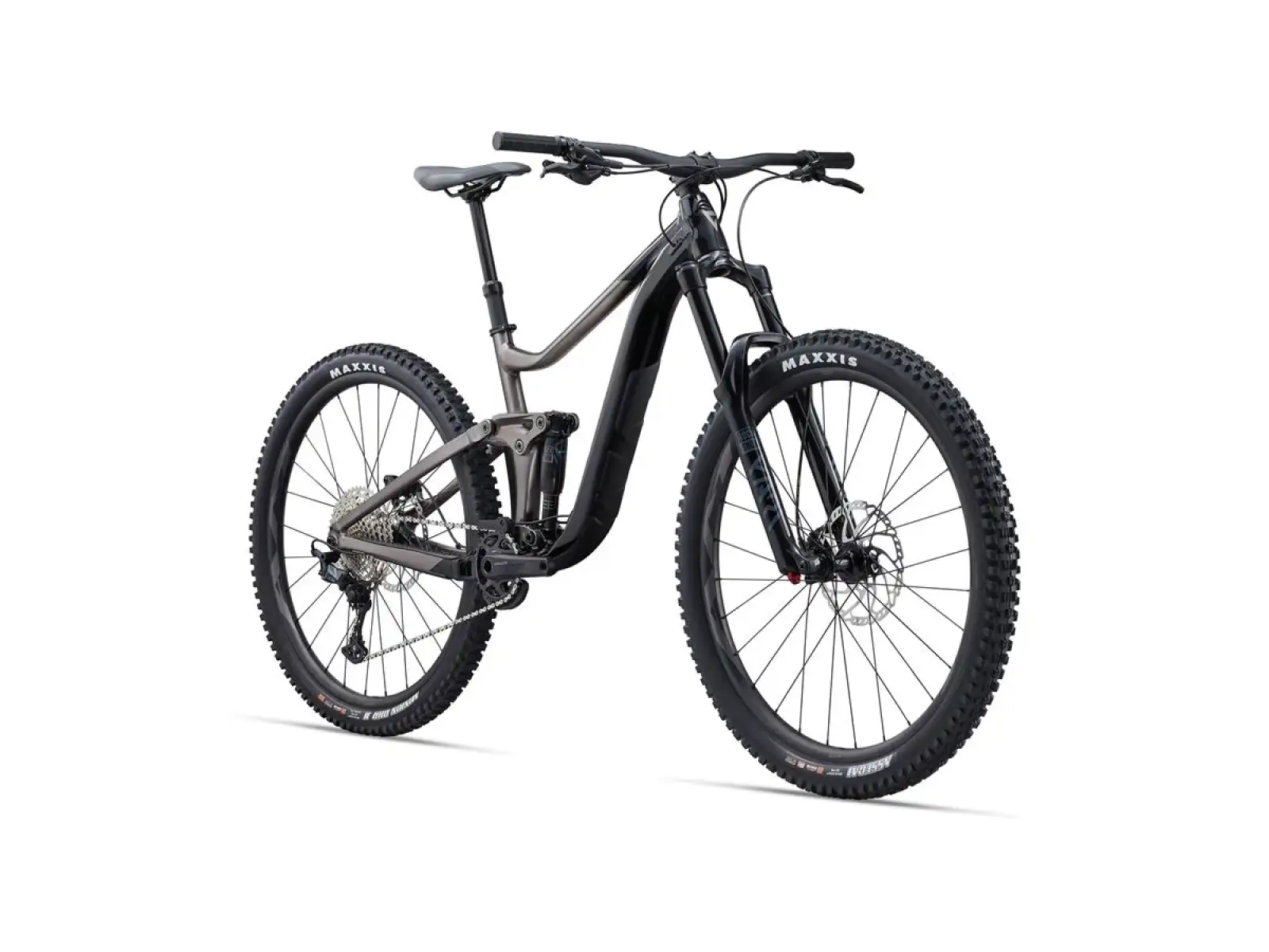 Giant Reign 2 Mountainbike schwarz/metallisch