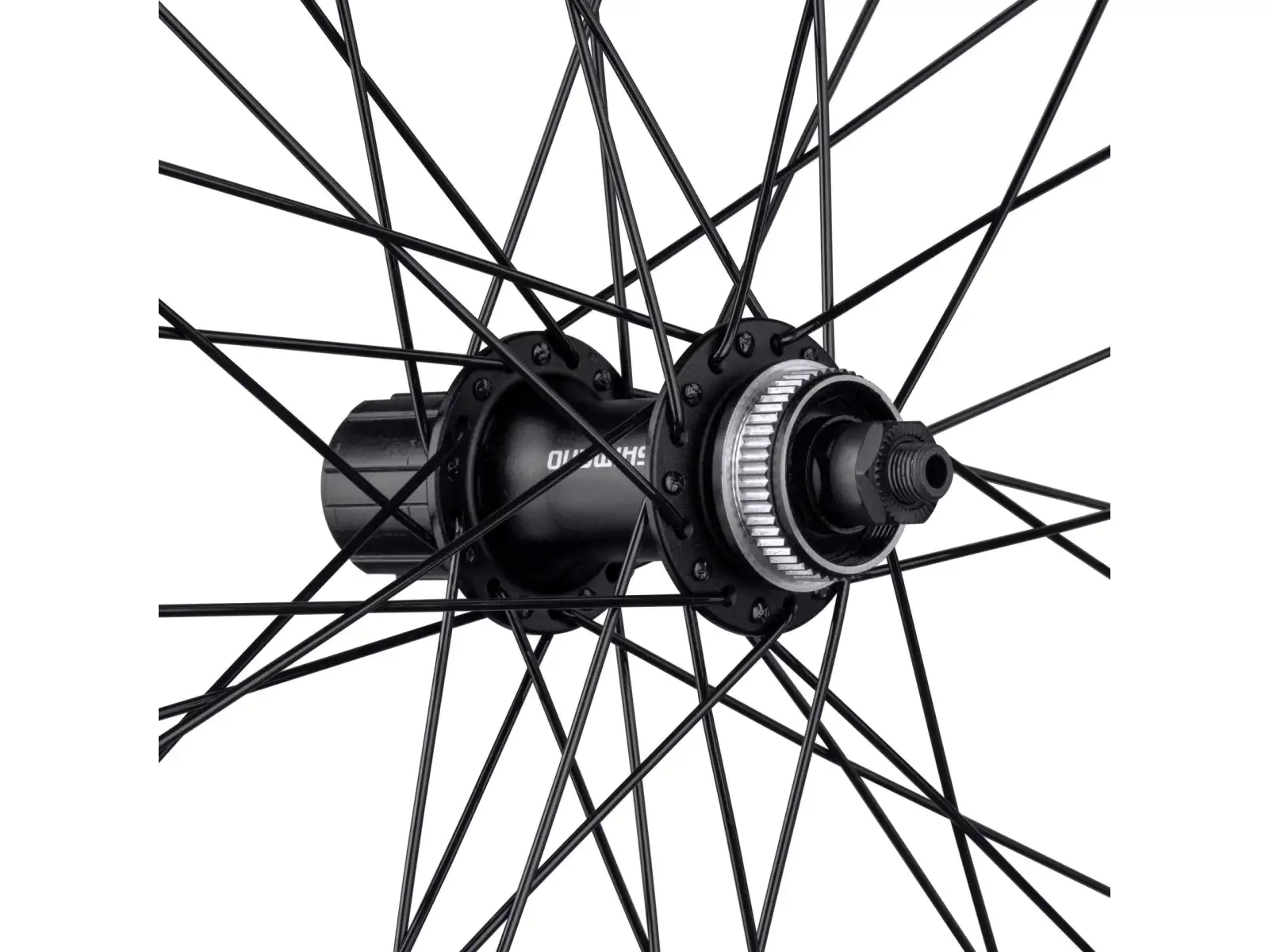 Force XC Disc 29 CL Vorderrad Laufrad Nabe Shimano