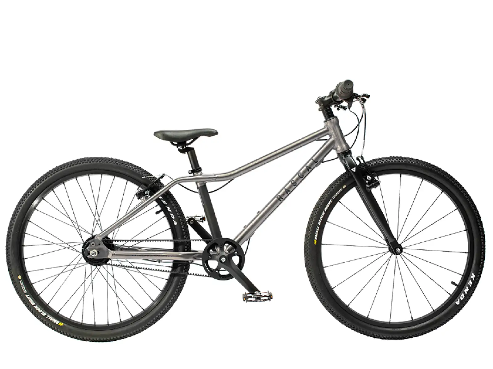 Rascal 24 7 mit Shimano Nexus Kinderfahrrad Titanium
