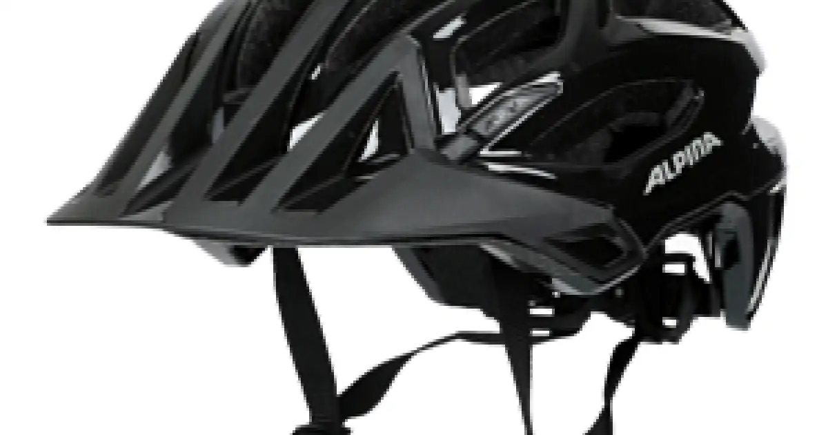 Alpina Garbanzo Fahrradhelm Black Gloss | Koloshop.de