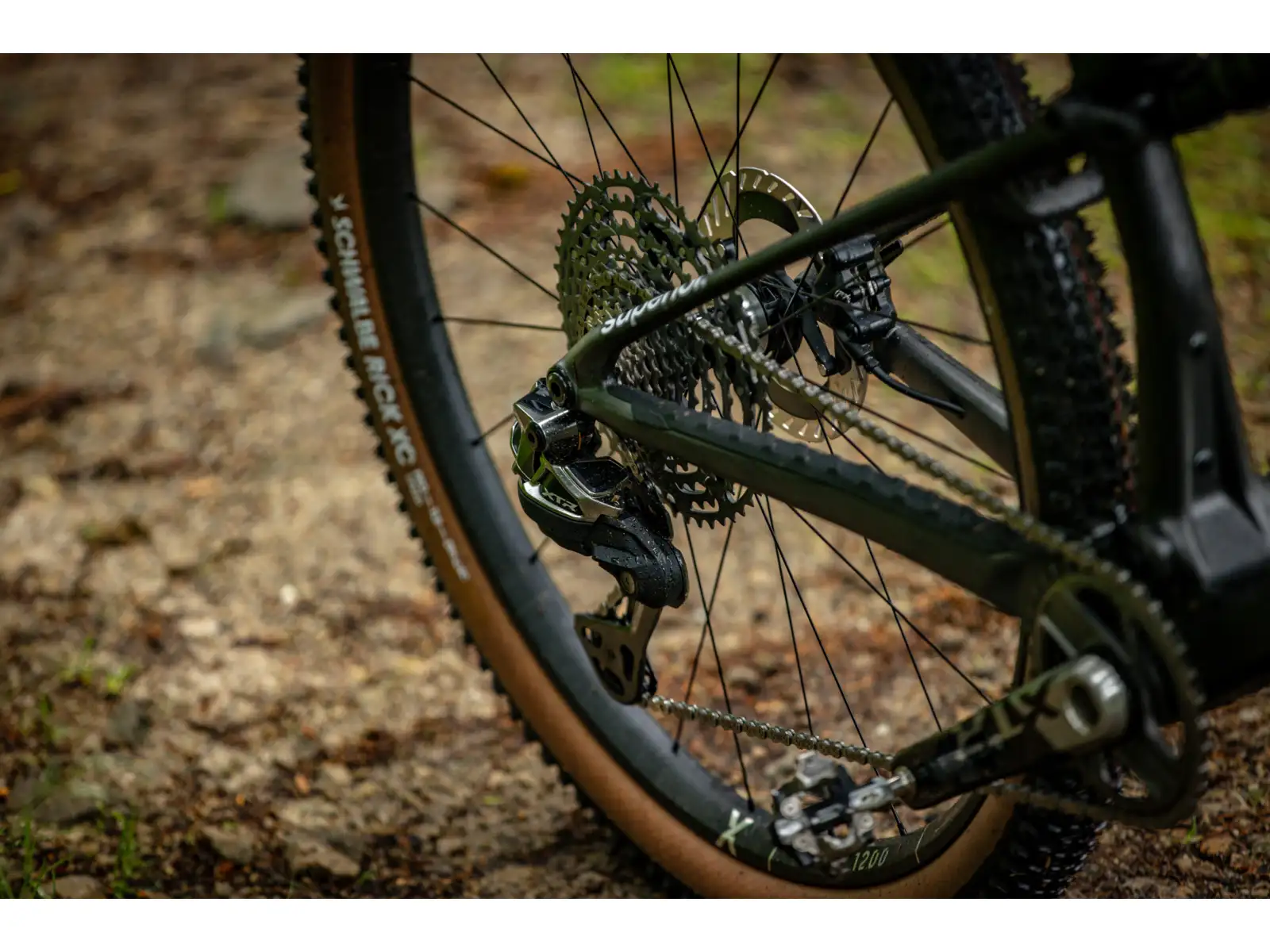 Superior MTB – XF 9.9 Team Gloss Carbon/Red