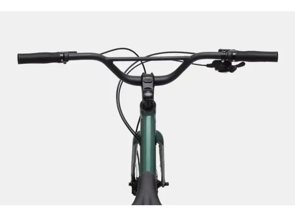 Cannondale Treadwell 2 Remixte JDE Fitnessbike