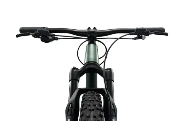 Liv STP 24 Kinder-Mountainbike Alpine Green
