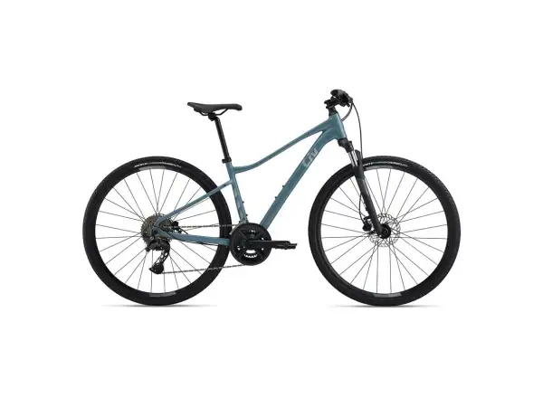 Giant Rove 2 Trekkingrad Storm Cloud