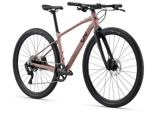 Liv Thrive GX Fitnessrad von Petra Clay.