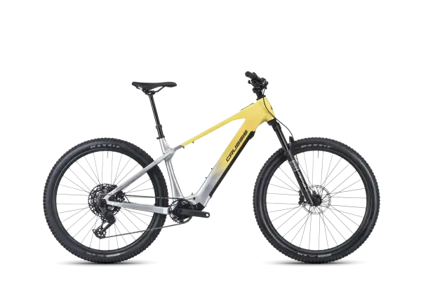 Crussis e-Largo AX 10.12-M2(800) Mountain-E-Bike
