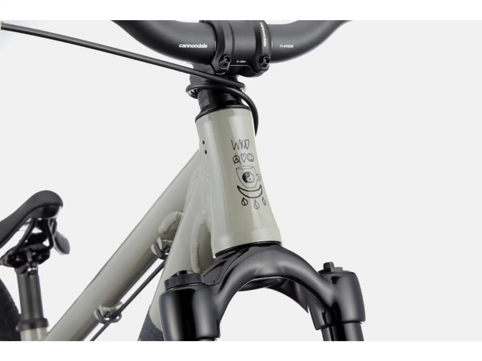 Cannondale Dirt Dave Dirt-Bike