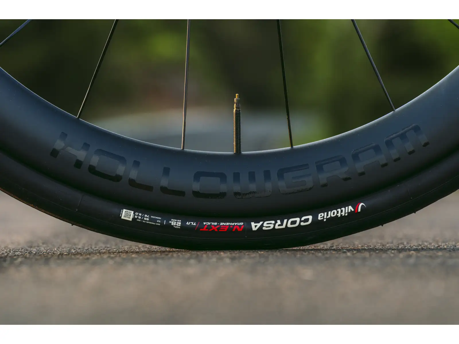 Cannondale Super Six Evo Carbon 1 Rennrad RAW